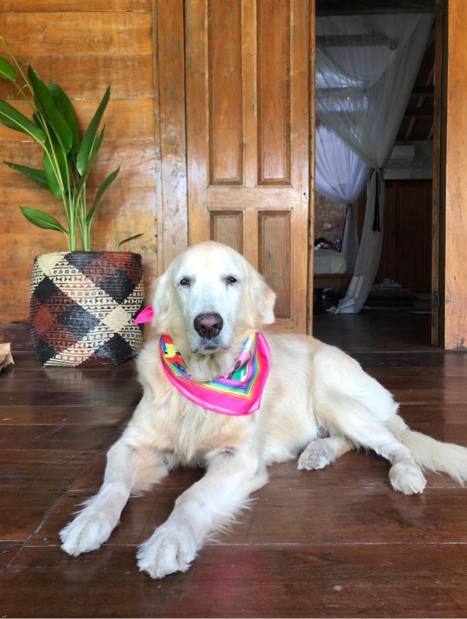 Karisa Pods Hostel Seminyak  Ngoại thất bức ảnh
